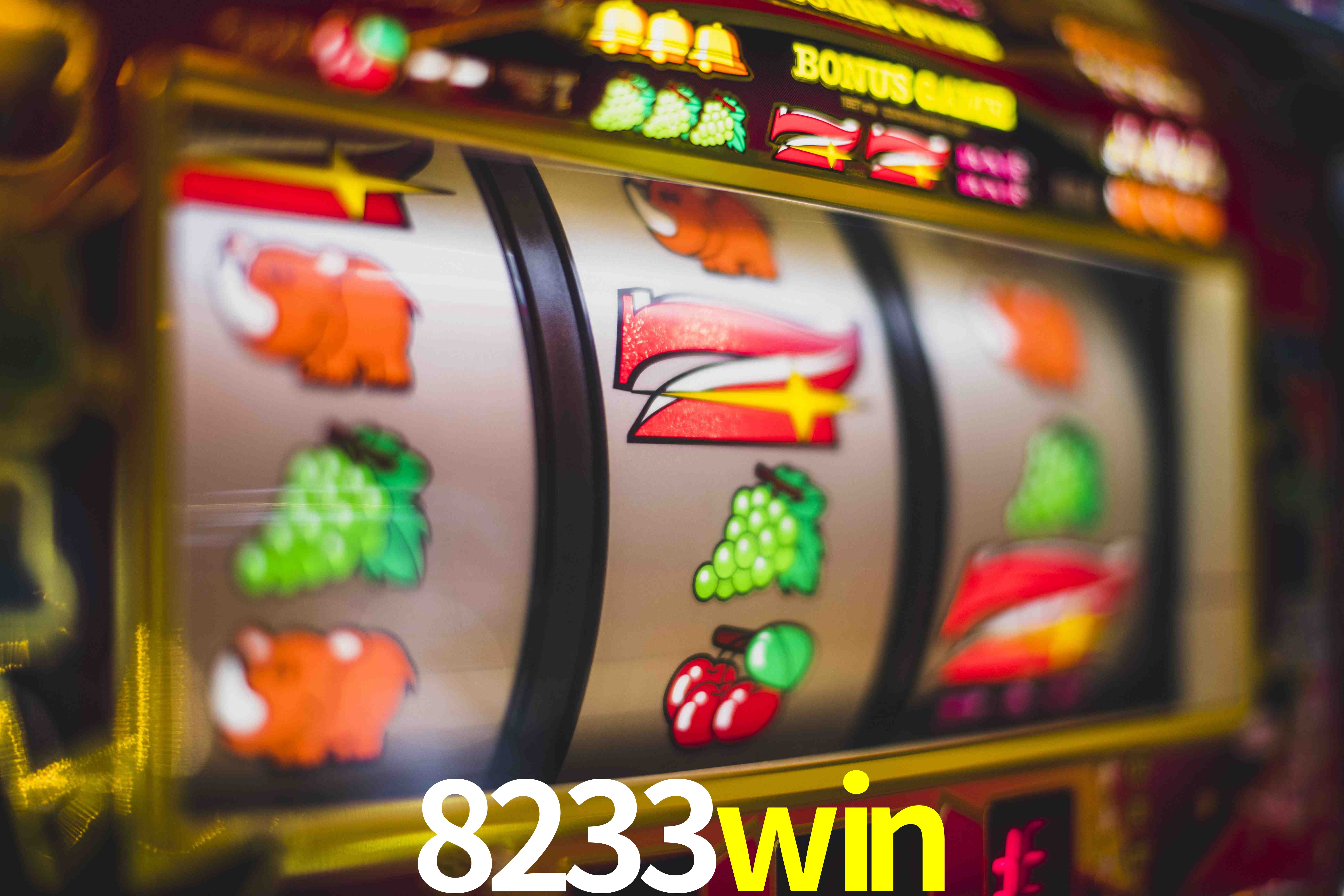 Experiência VIP 8233win
